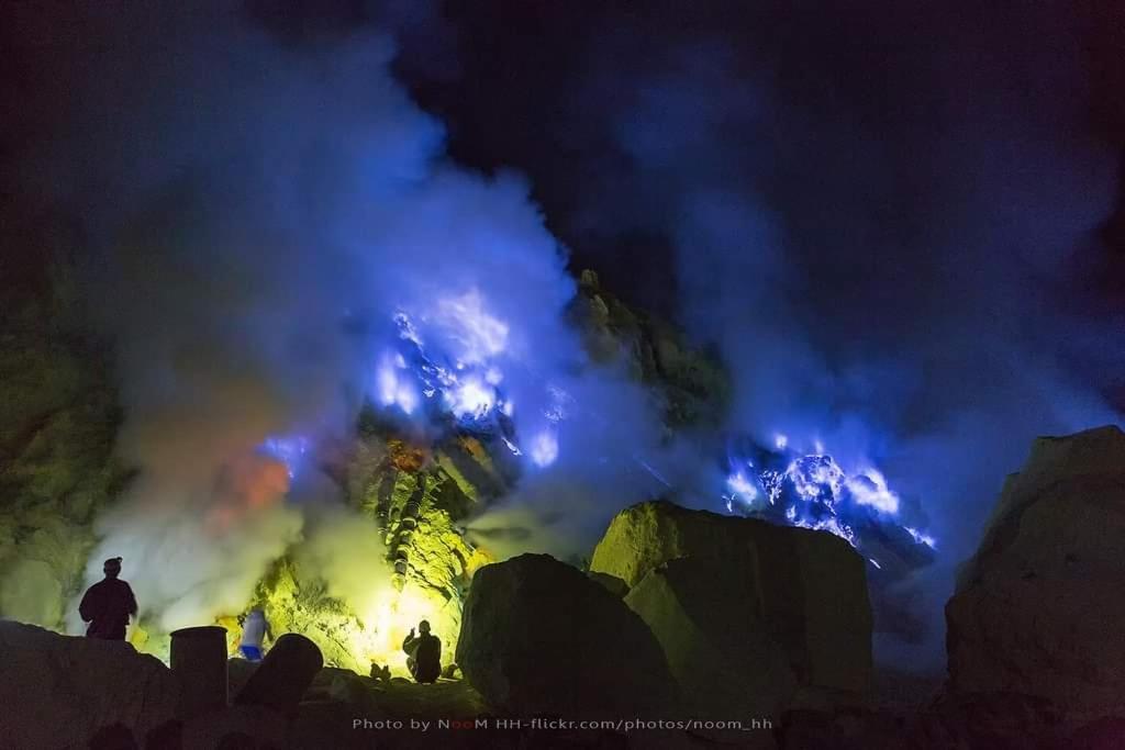 Dannu'S Homestay Ijen And Bromo Tour Banyuwangi  Exterior foto
