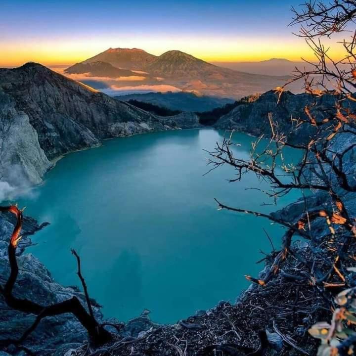 Dannu'S Homestay Ijen And Bromo Tour Banyuwangi  Exterior foto